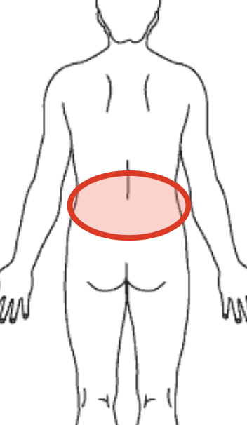 腰の痛みの場所を示す図