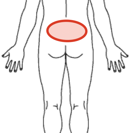 腰の痛みの場所を示す図